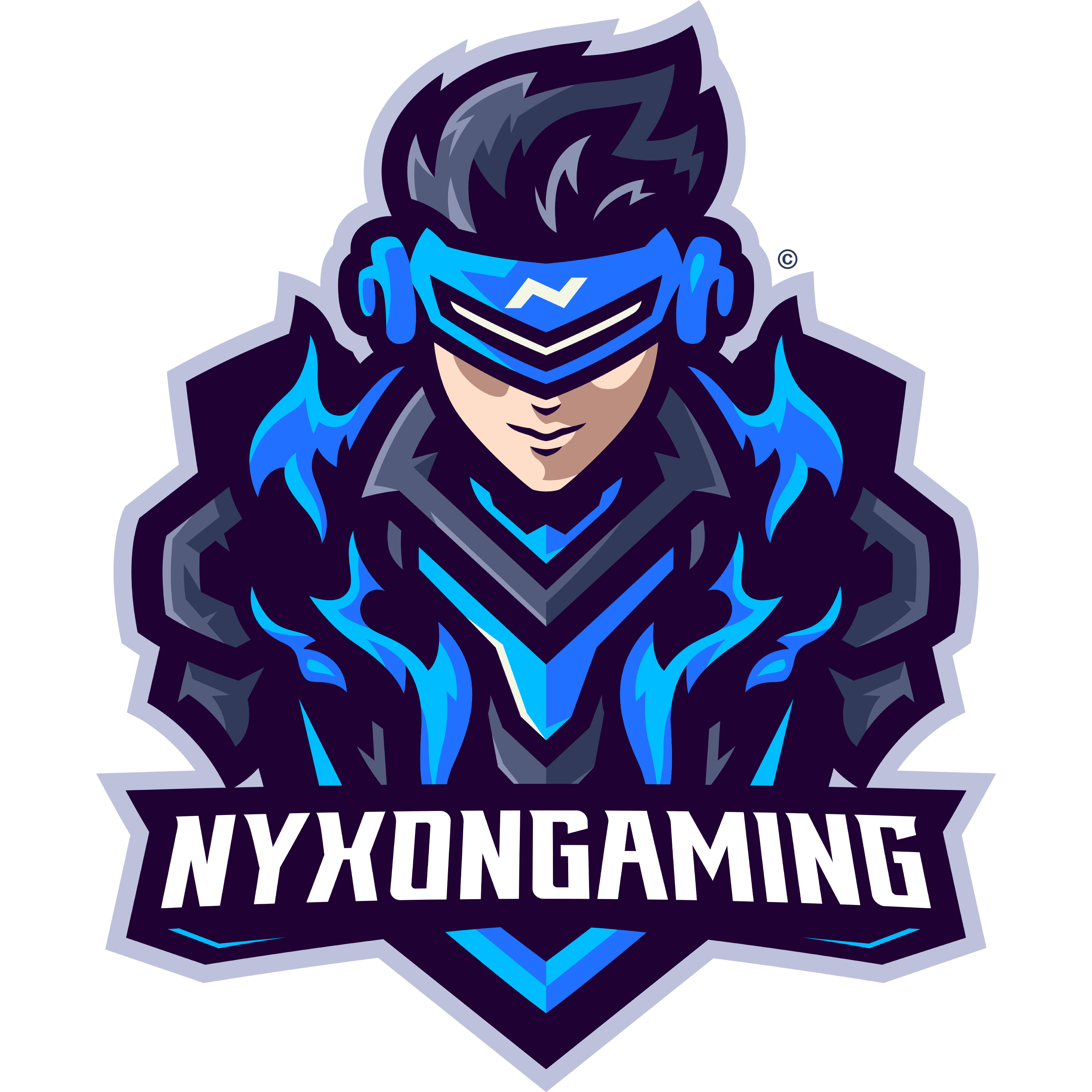 project logo